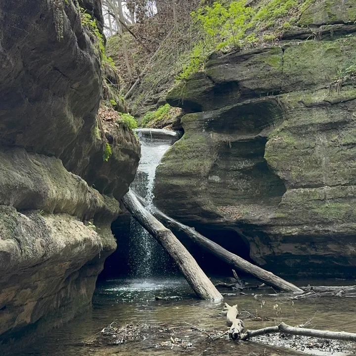 @starved.rock.stat