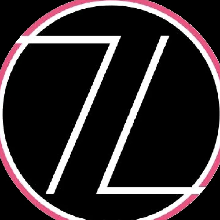 @zoomhitskins