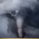 @natural.disasters85