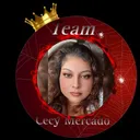 @veroteam