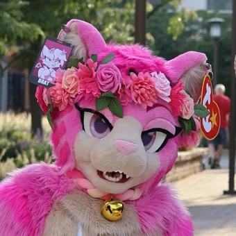 agaypinkcat