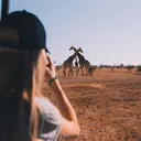 @swaindest