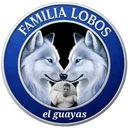 @el.guaya503
