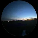 @snxwrl5793