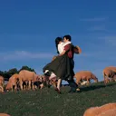 @mistylens