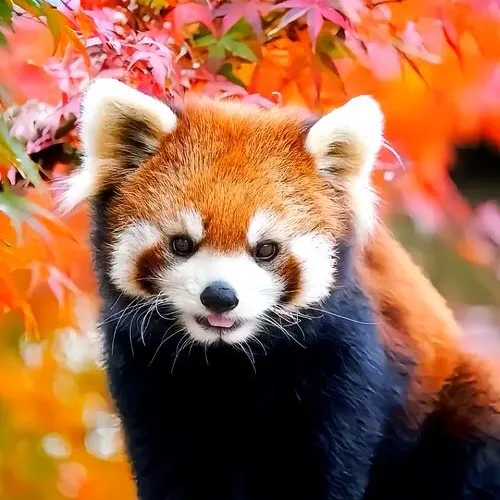 @bluebigocean