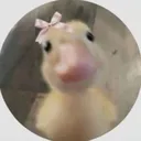 @jimenezsuarez22