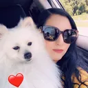 @dextertiktoker