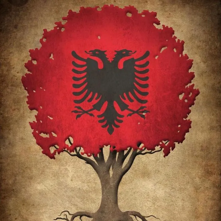 @nevruzkrasniqi1977
