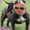 sarbearsparkles
