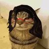 udarealsparda