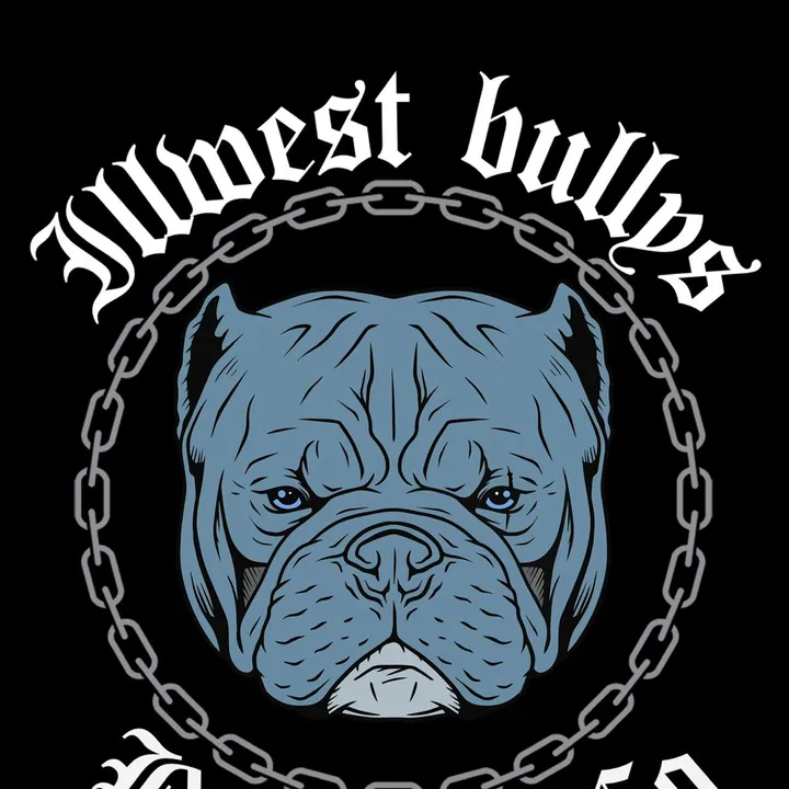 @illwestbullys