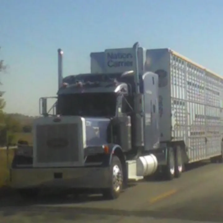 mrtruckdriver1