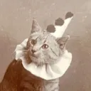 @clowngodzilla