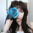 @swlvew