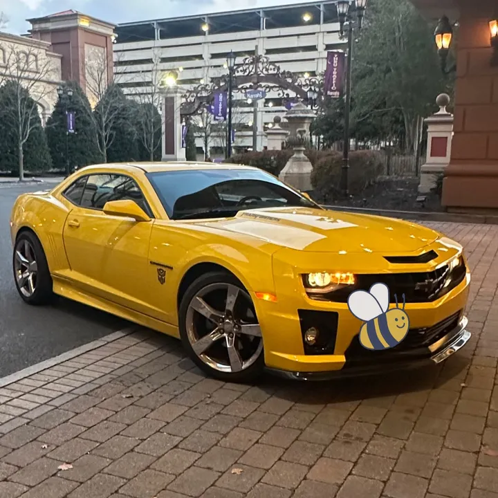 @bumblebee.504