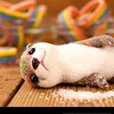 @hug0_l0v3r