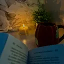 @livelovee