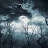 darkskyrainstorm