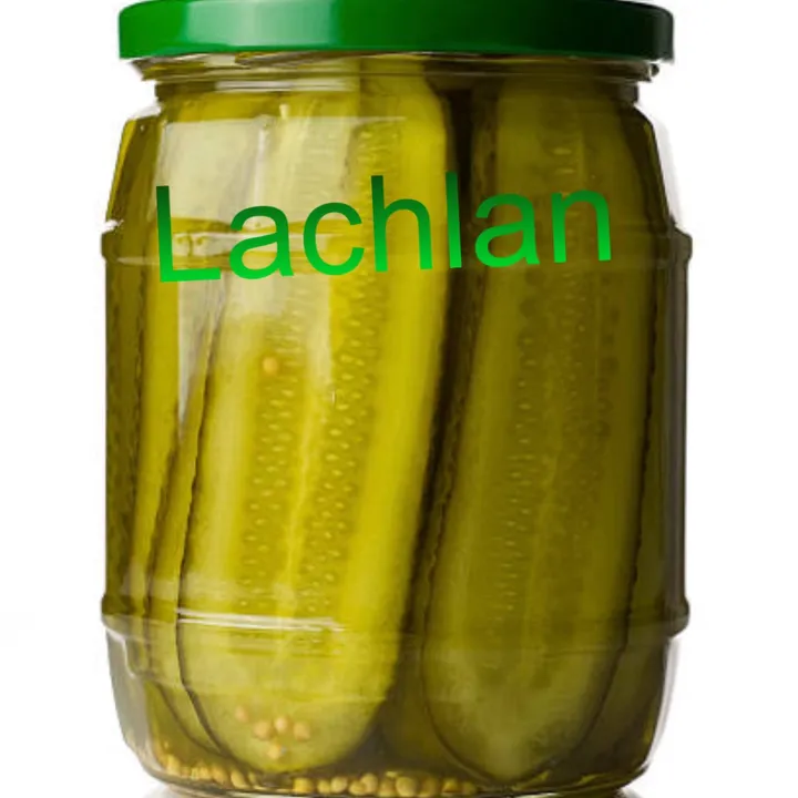 lachlanpickle
