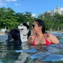 @dailymviaja