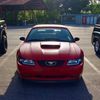 that.new.edgemustang