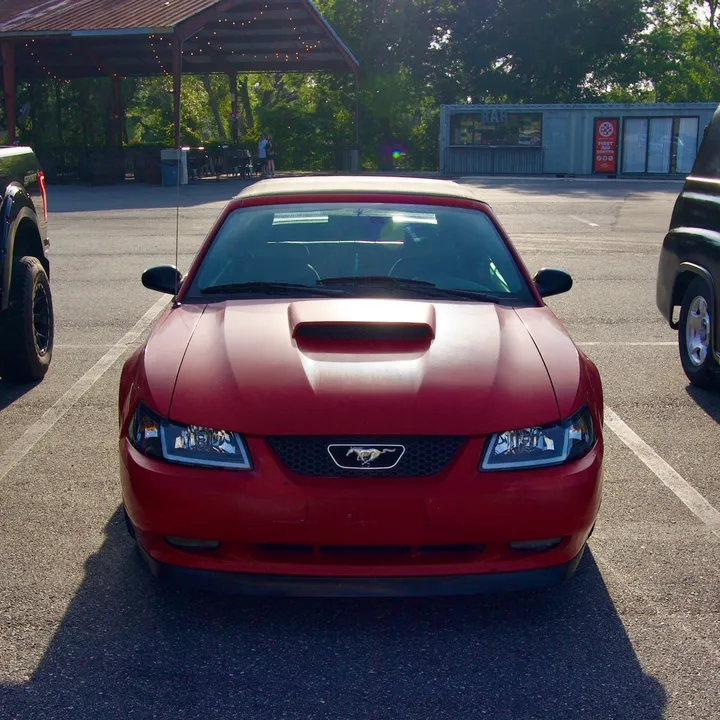 @that.new.edgemustang