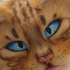 _vixitty_