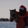 equi.erika
