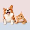 cute.pets.tv31