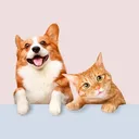@cute.pets.tv31