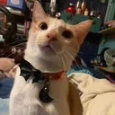 @angelsandanxiety