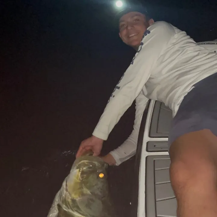 swfl_joey