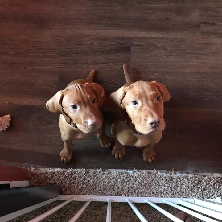 cashandjennings