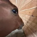 @moneysentmula