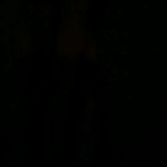 @famuel.godnez