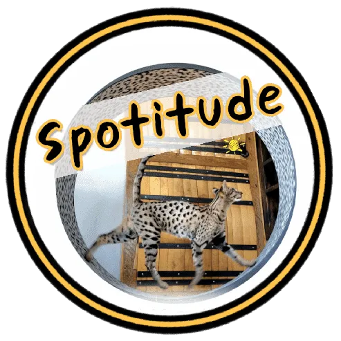 spotitudesavannahs