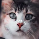 @wrshelps