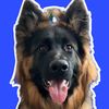 mavgsd