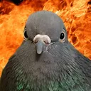 @flatwavelength