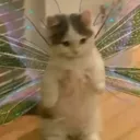 @d00dlek1d
