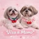 @visaandmomo
