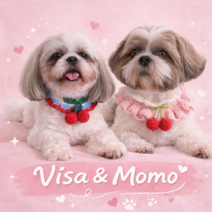 visaandmomo