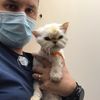 catsbruh