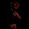 theveiledshadow