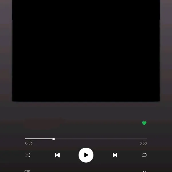 spotify.text.ukraine