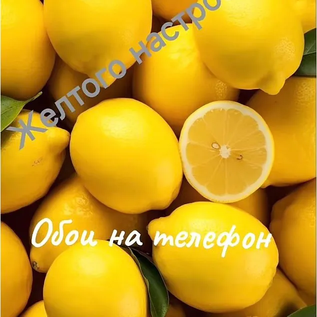 arsen69178
