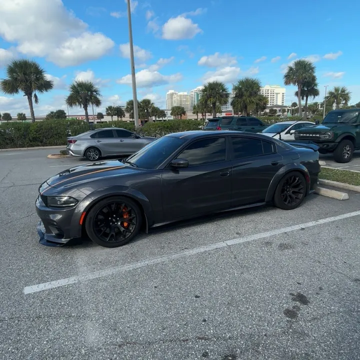 @lost.392