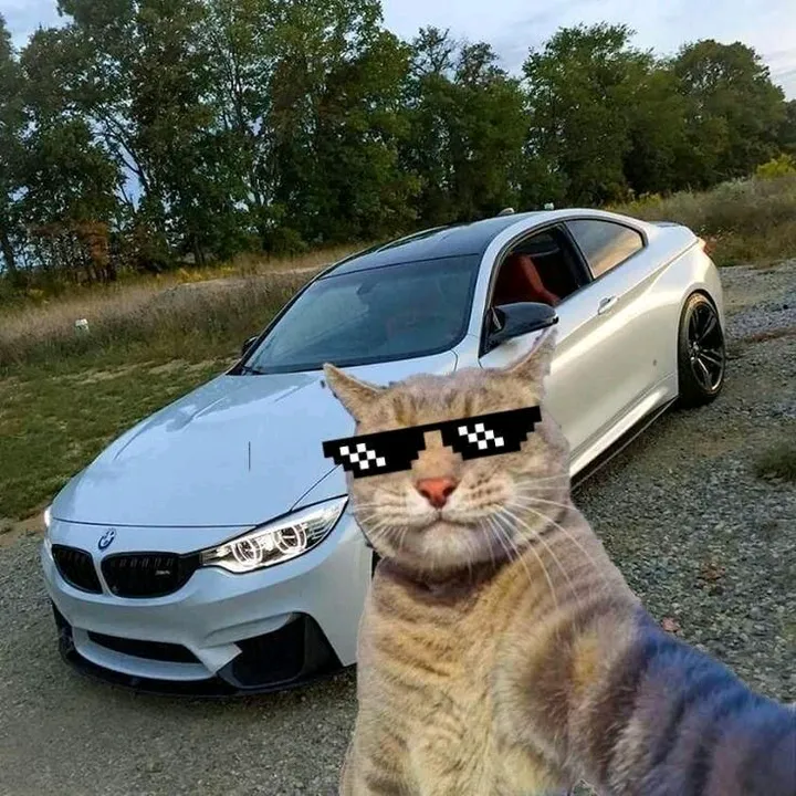 @georgiev_7