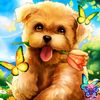angel._x._.joshuaanloza